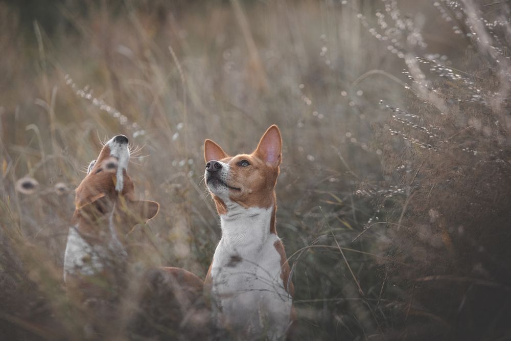 Photograph by Кудлай Яна