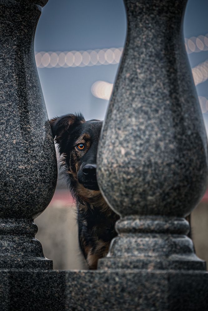 Photograph by Елена Самусенкова