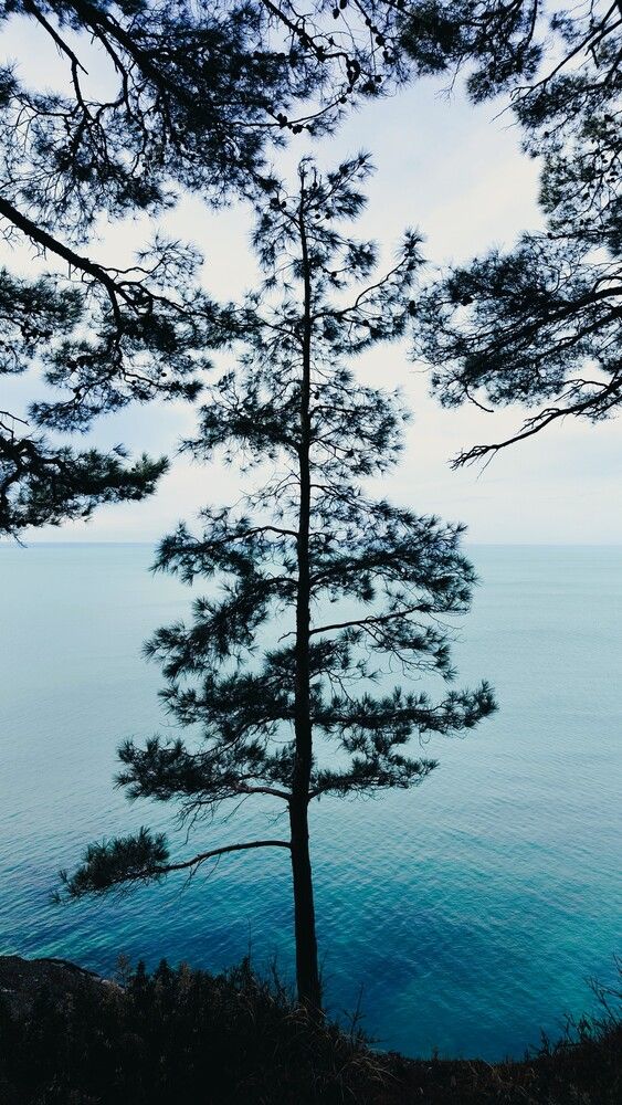 Photograph by Андрей Евтеев