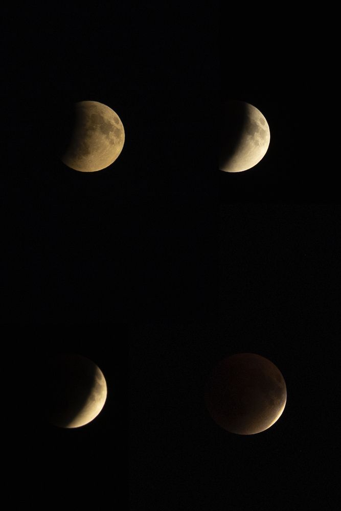 Photograph by Ольга