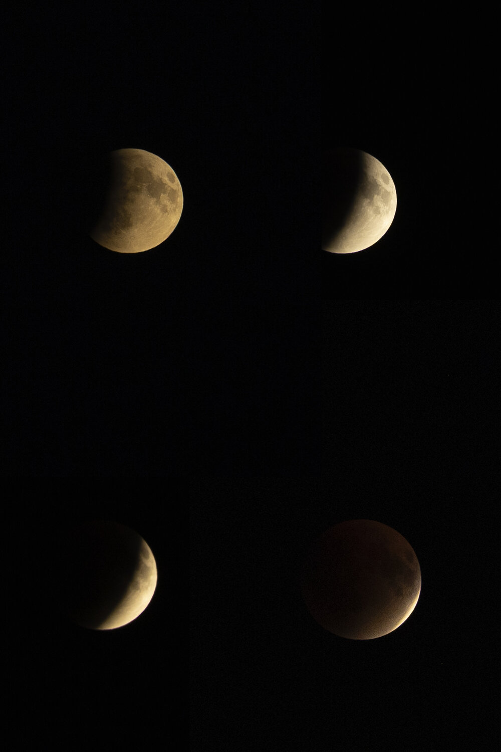 Photo #13350618
