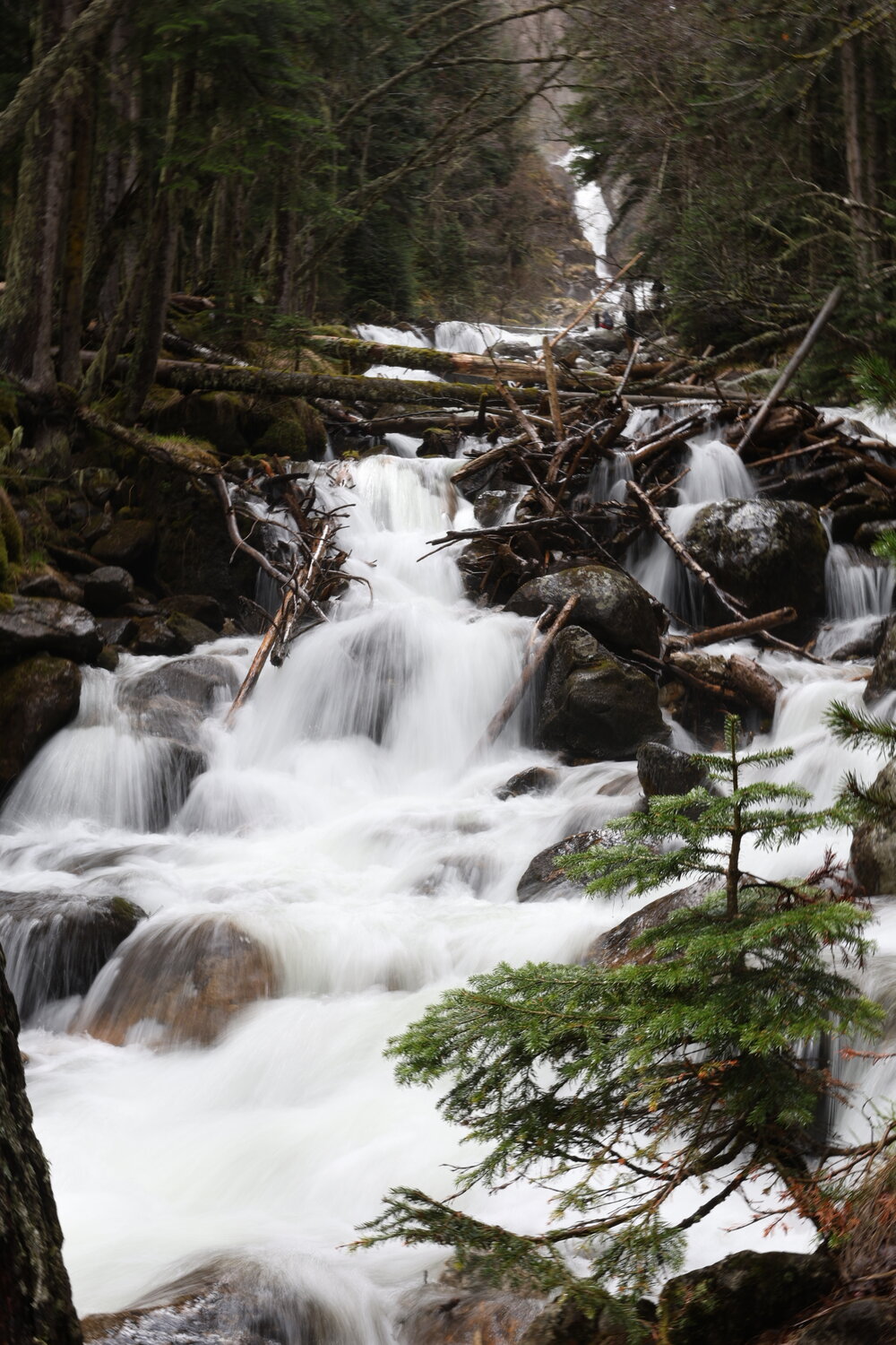 Photo #13350621