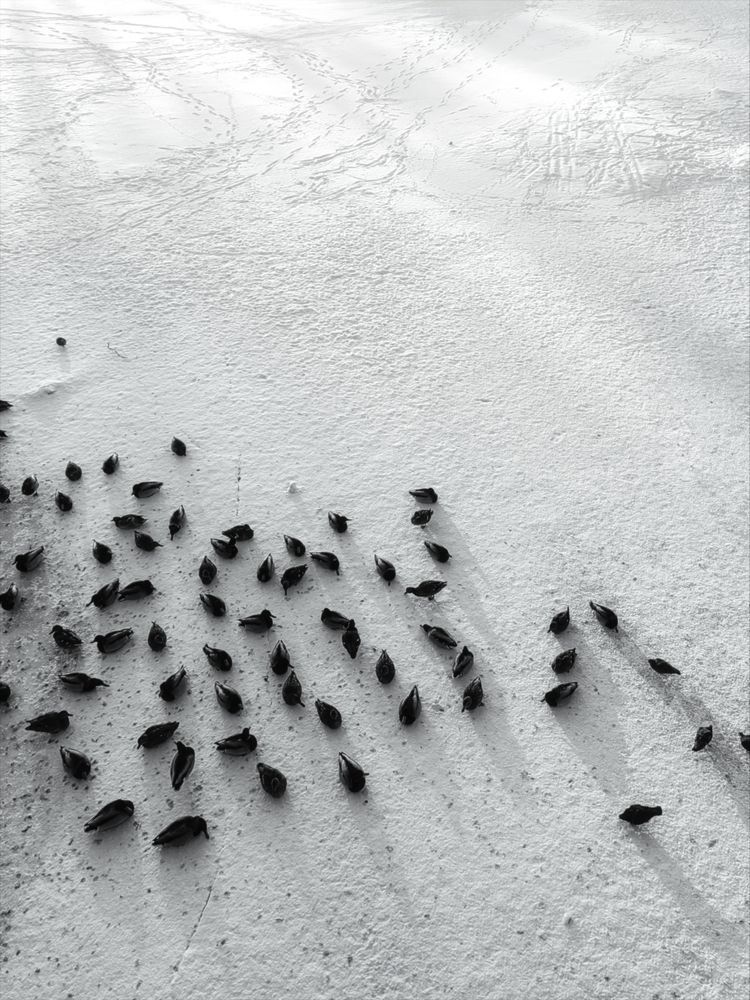 Photograph by Мария Самохвалова