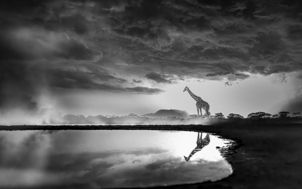 Photograph by Сулоев Алексей