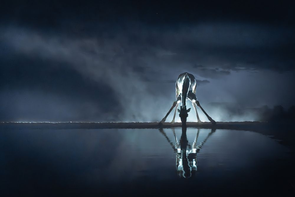 Photograph by Сулоев Алексей