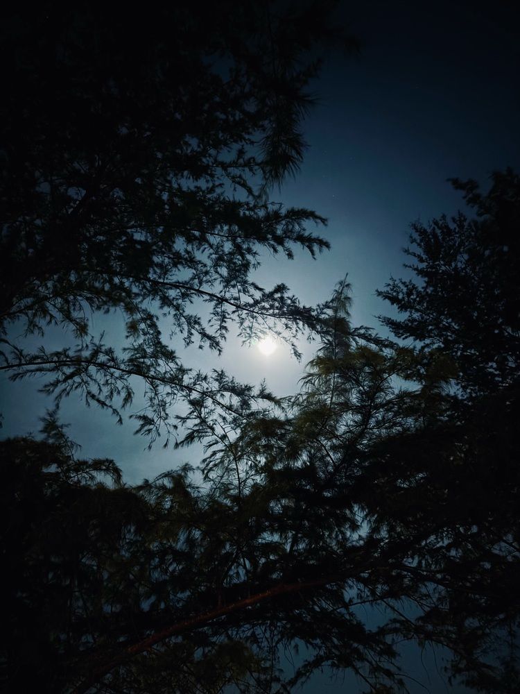 Photograph by Nur Izaty Mokhtar