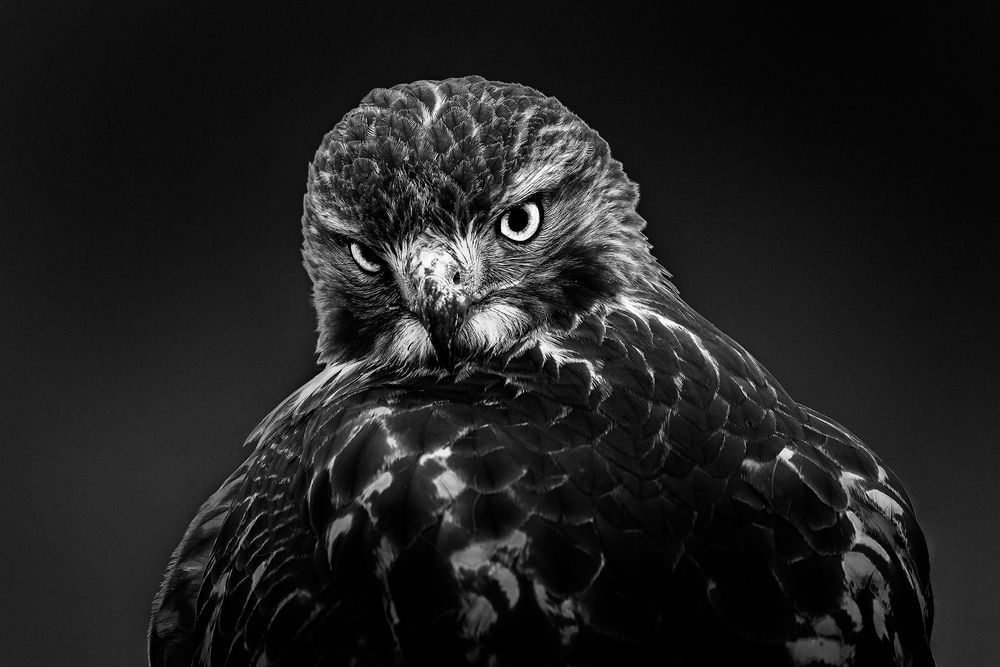 Photograph by Zhenhuan Zhou