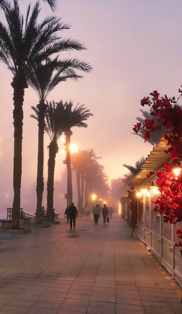 Туман вечером на набережной в Испании, Торревьеха