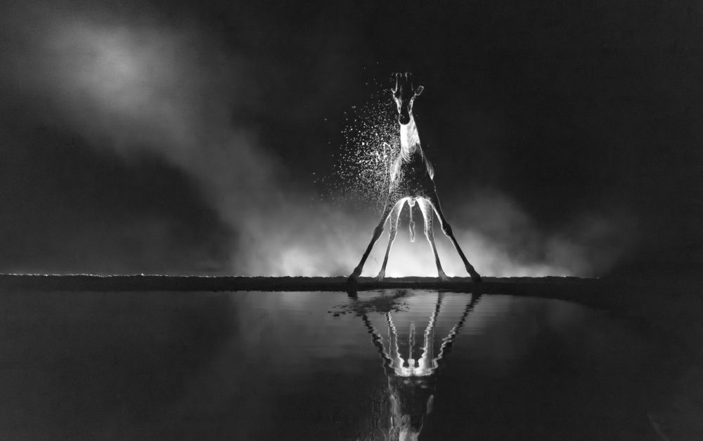 Photograph by Сулоев Алексей