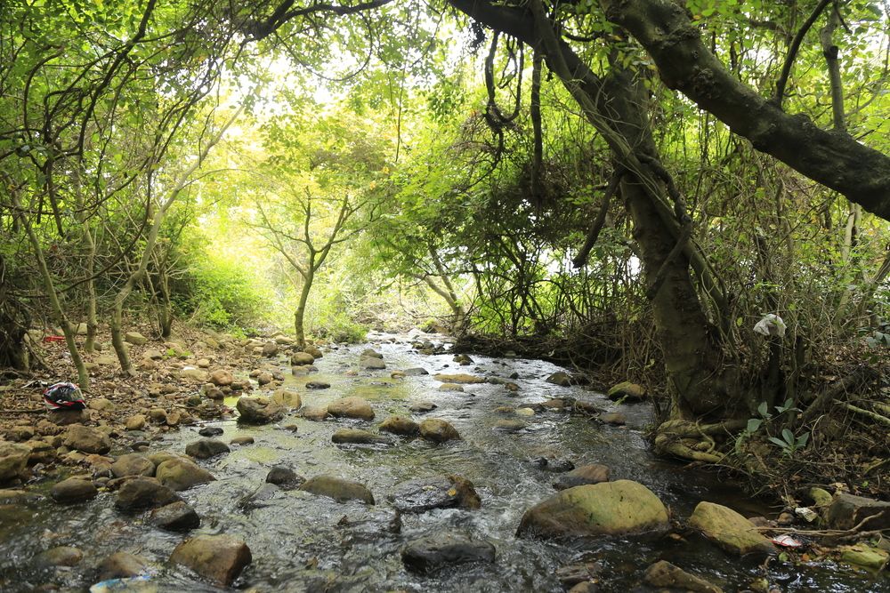 Photograph by Aswin Vijay