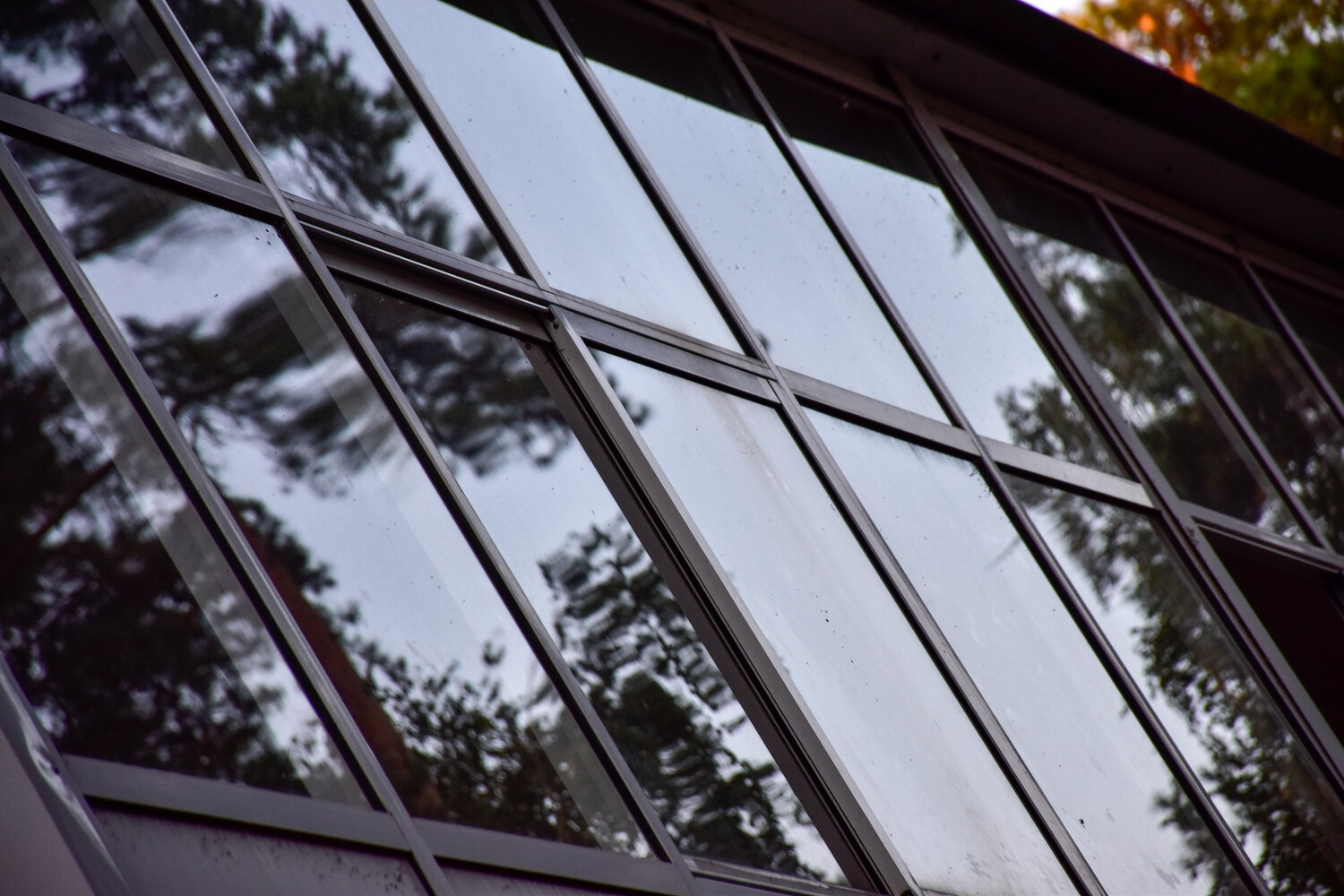 Photo #13350993