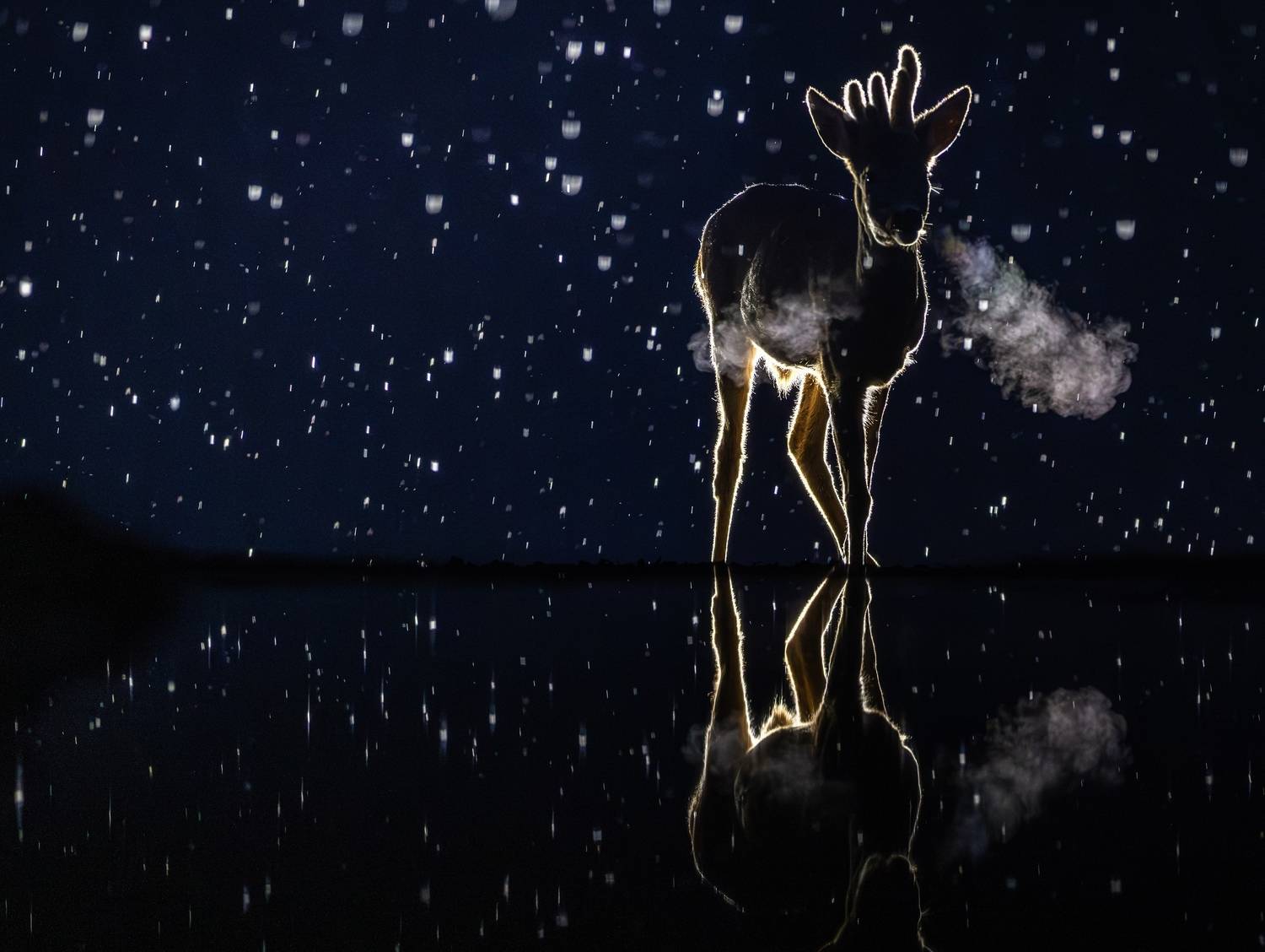 Фотография #13351006