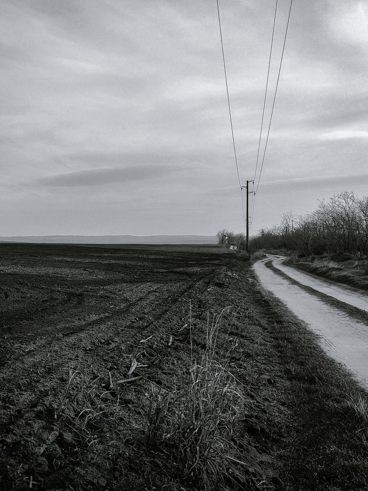 The field. Road. B&W