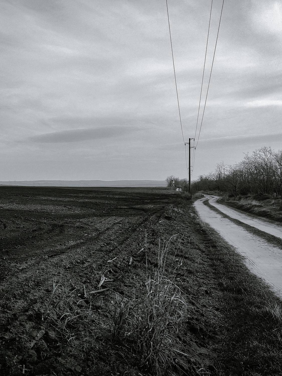 The field. Road. B&W