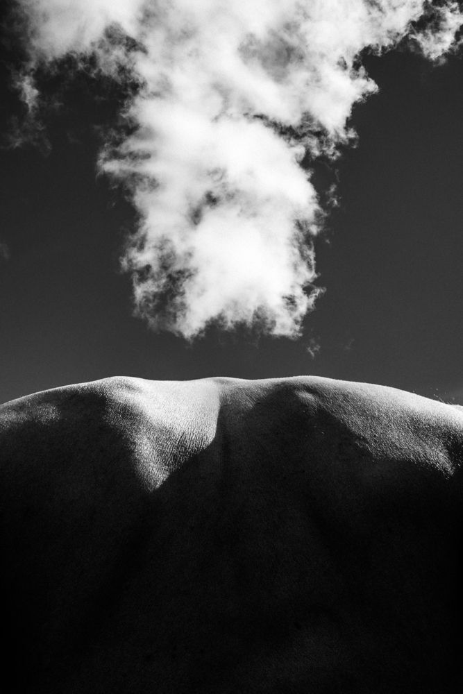Photograph by Александр Стрелков