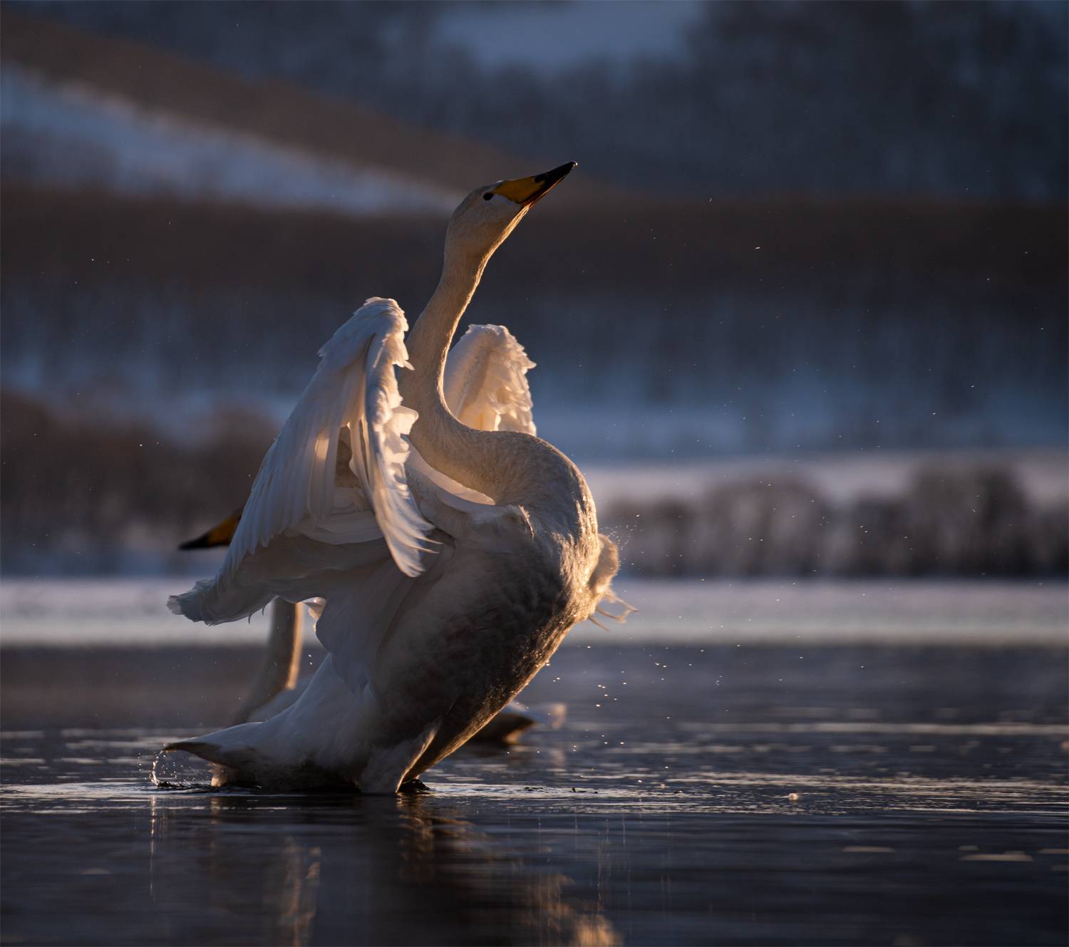 На встречу новому дню