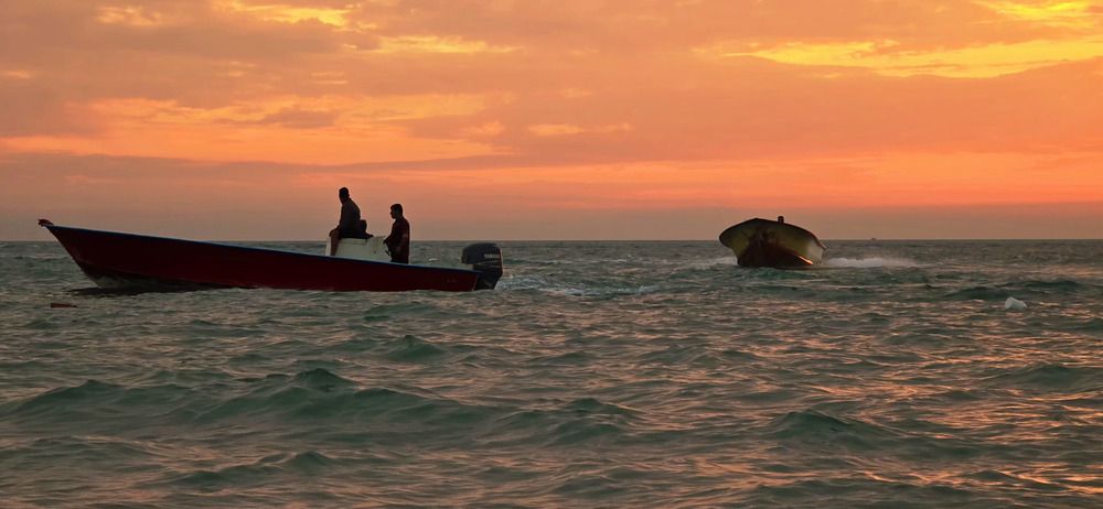 Фотография автора behrooz roosta