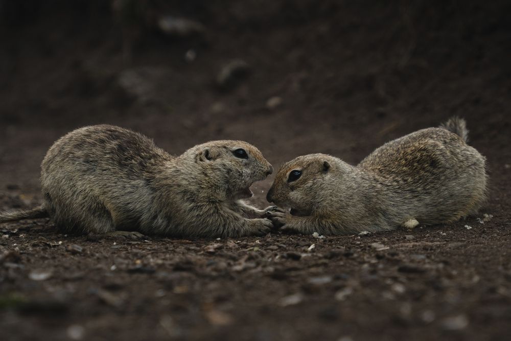 Photograph by Анастасия Зайчуковская