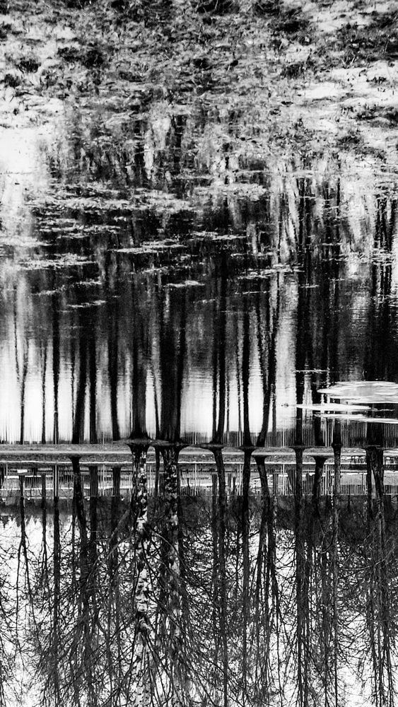 Photograph by Мария Емец