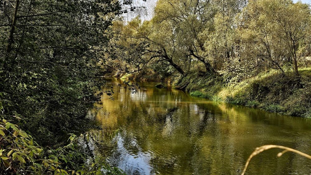 Photograph by Лариса Канаш