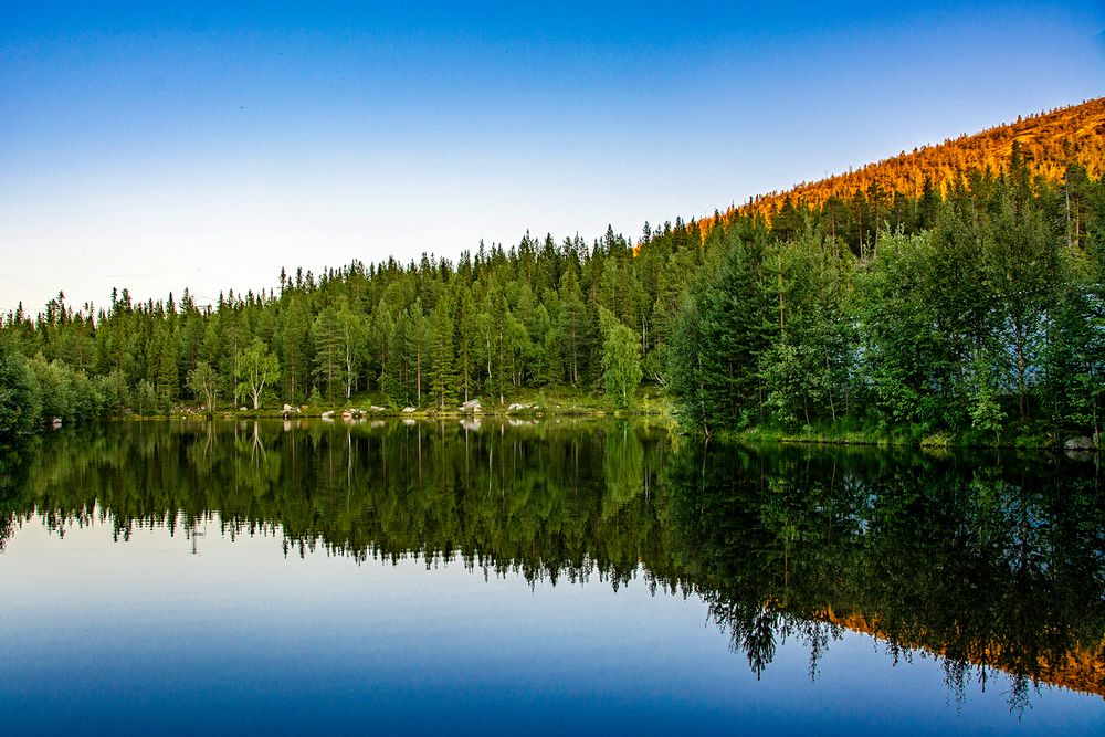 Photograph by Анатолий Мацеля