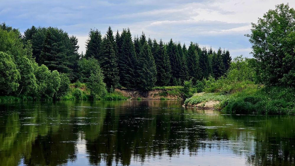 Photograph by Лариса Канаш