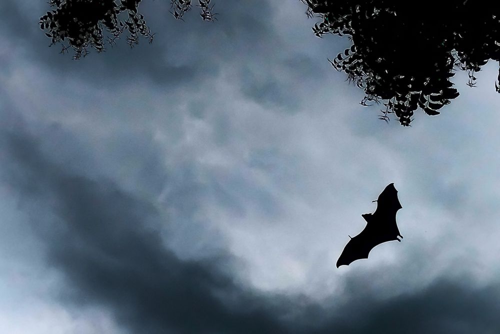 Photograph by Praveen