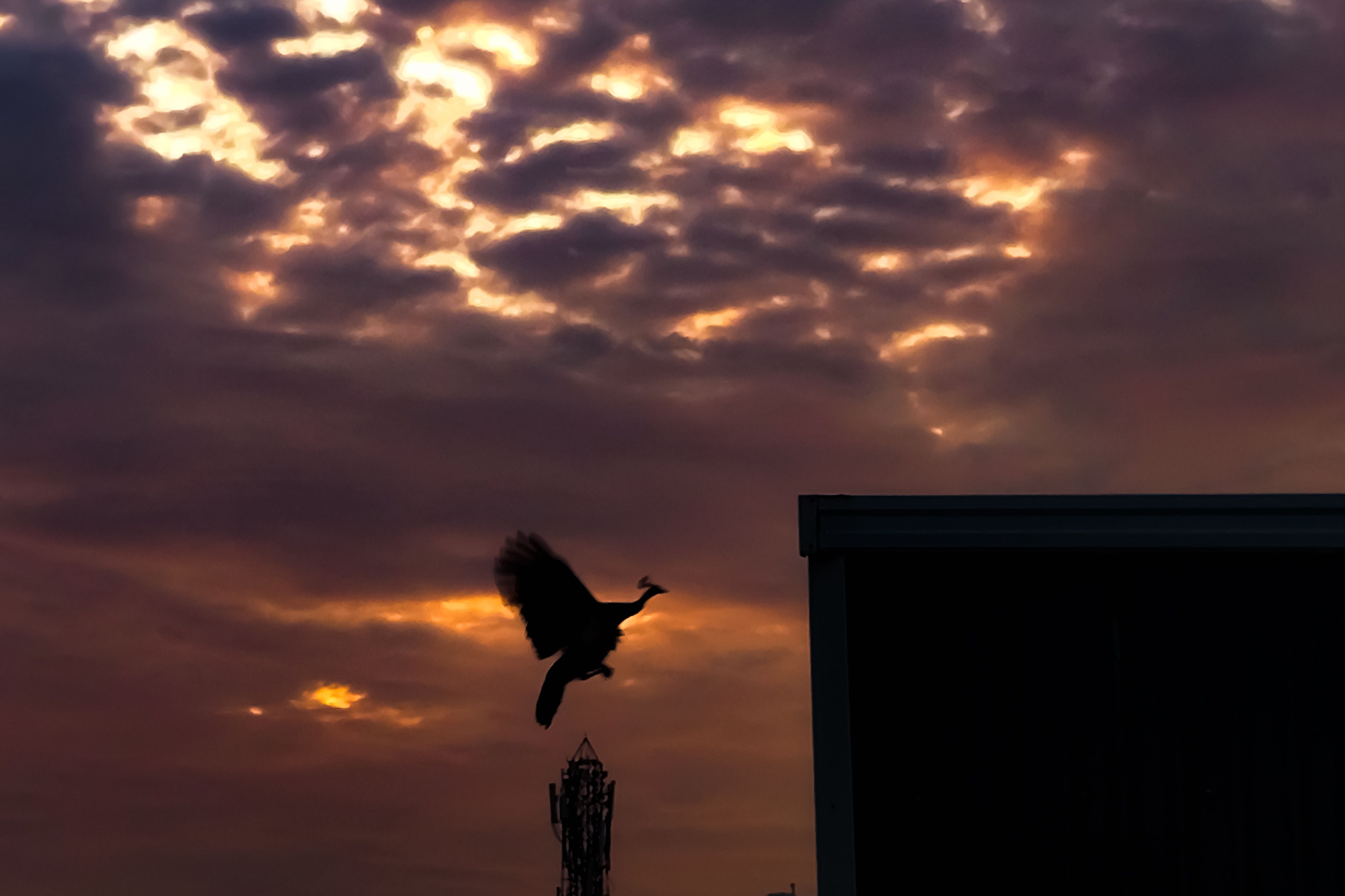 Photograph by Praveen