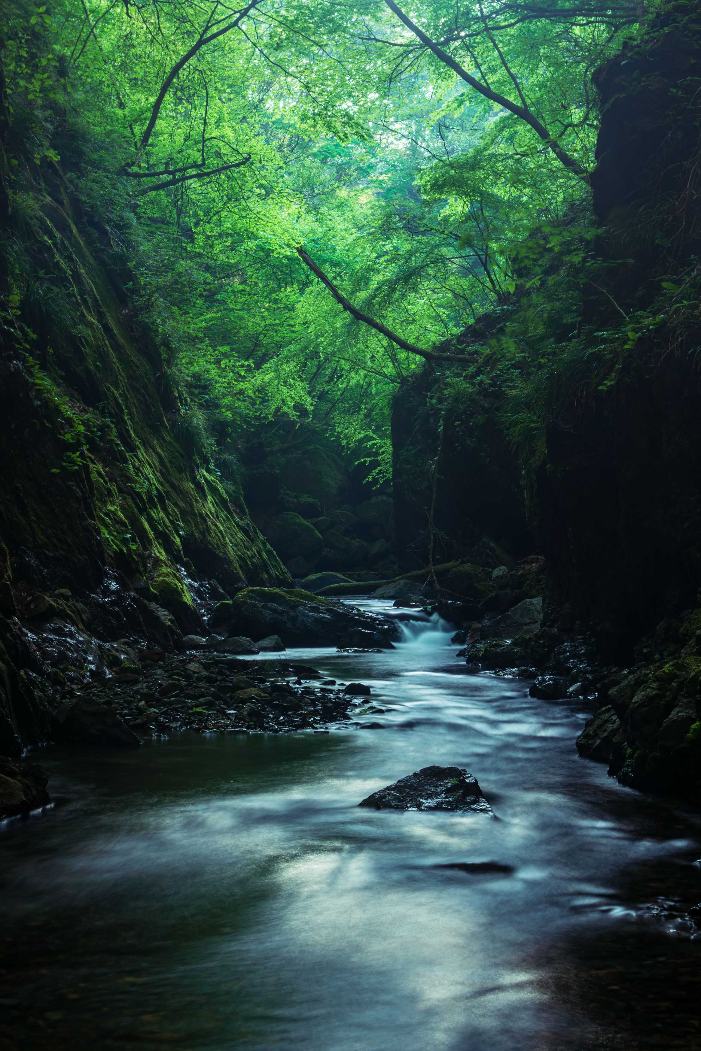 Photograph by Gunma No UMA