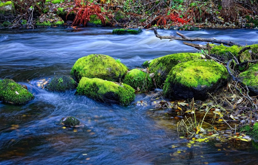 Photograph by Александр