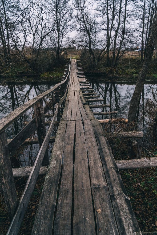 Photograph by Татьяна Бычкова