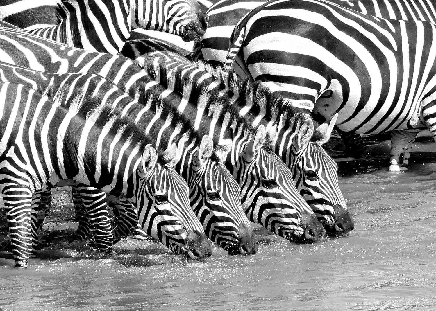 Striped