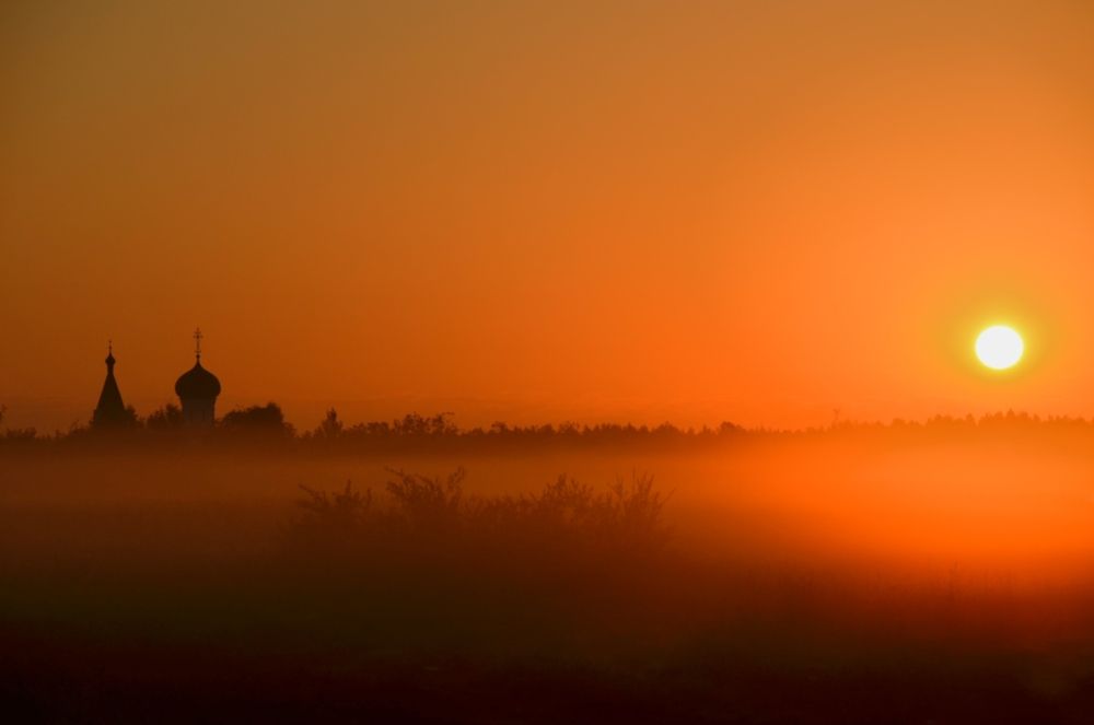 summer dawn in the field