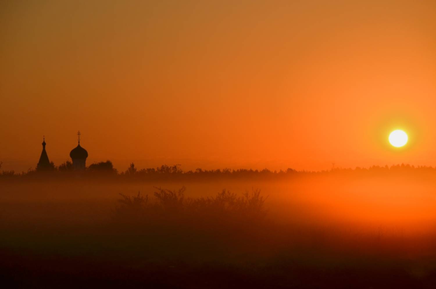 summer dawn in the field summer dawn in the field