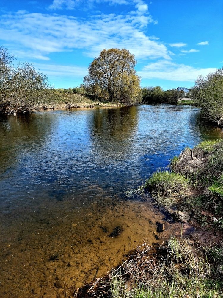 Photograph by Ирина Жукова