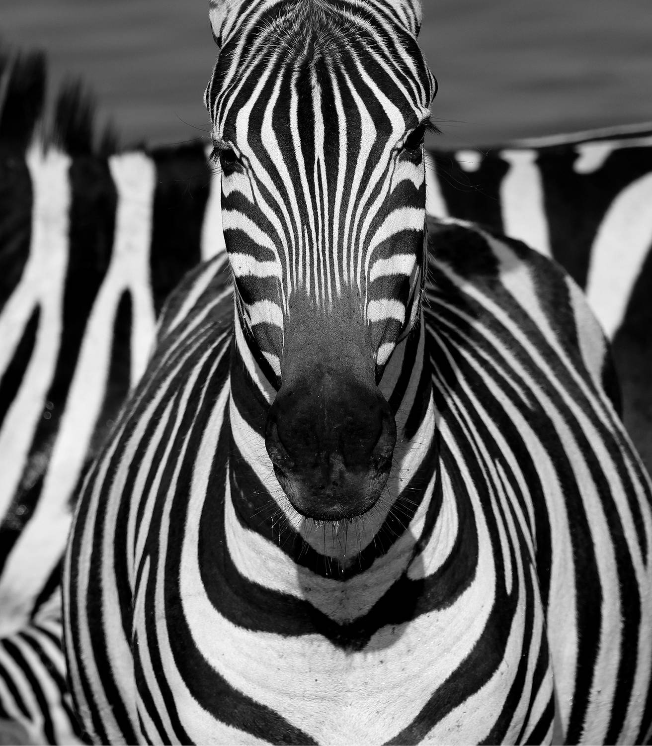 Symmetry