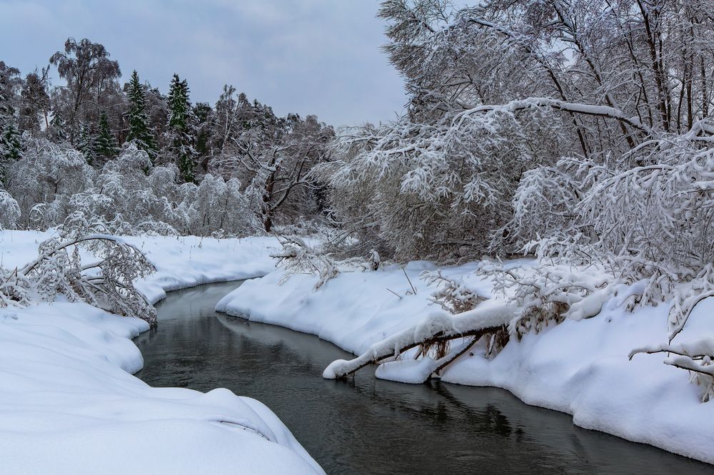 Речка в лесной глуши.