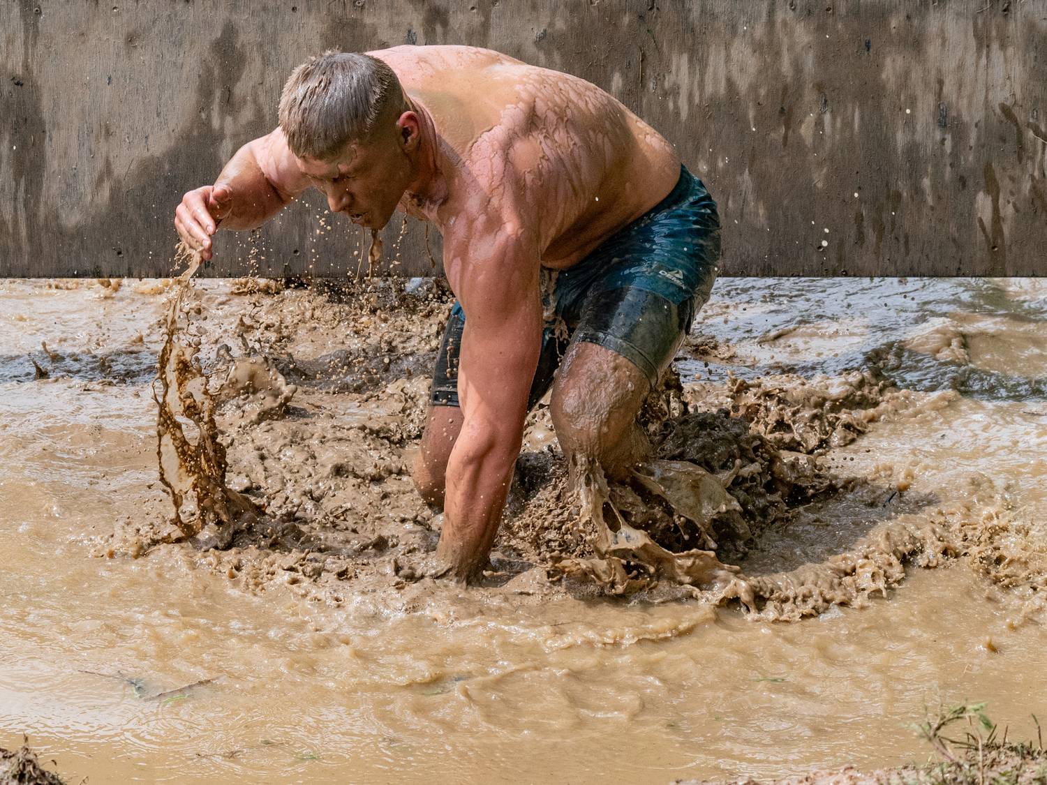 Фотография #13351592