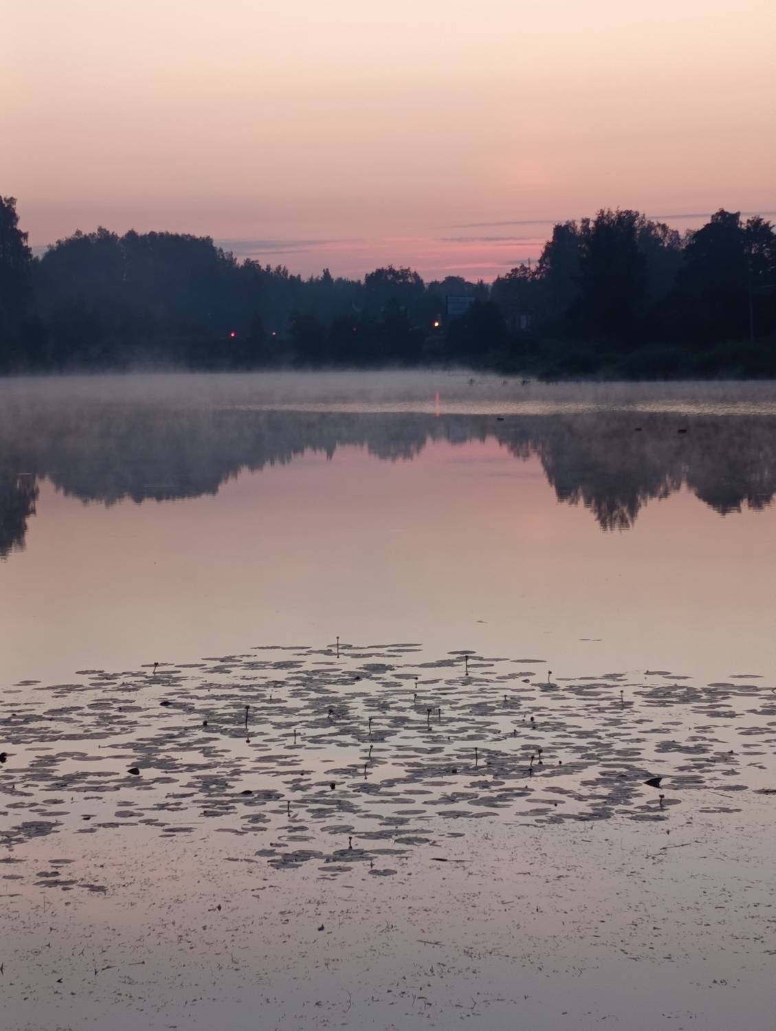 Фотография #13351686