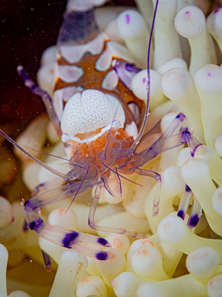 Photograph by Plakida Alexander