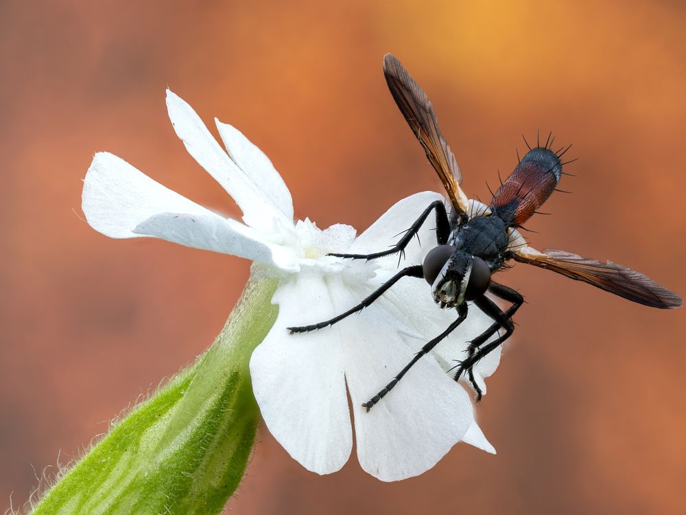 Photograph by Коровко Глеб