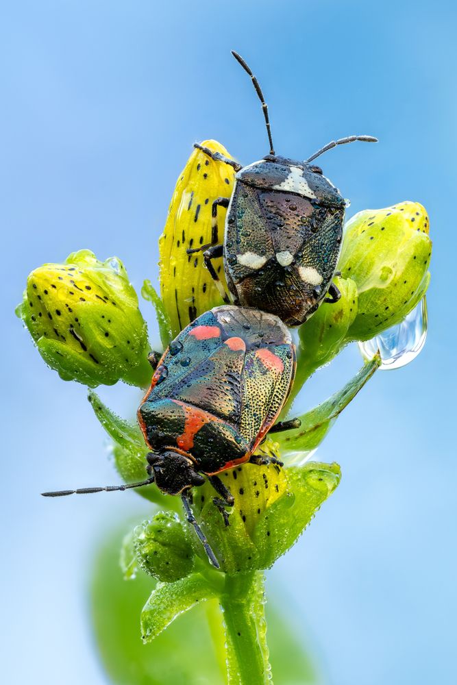 Photograph by Коровко Глеб