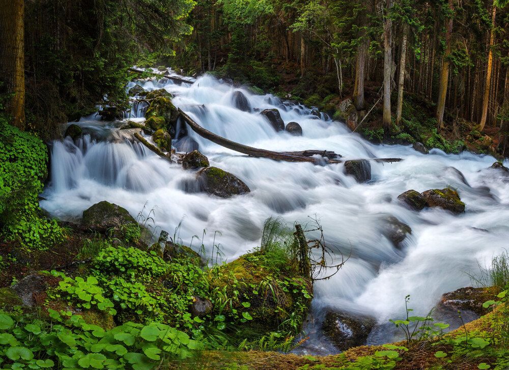 Ручей Муруджу