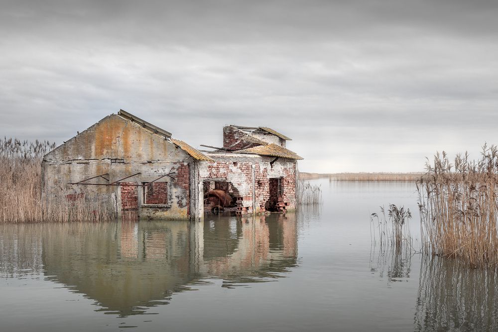 Фотография автора Paolo Paccagnella