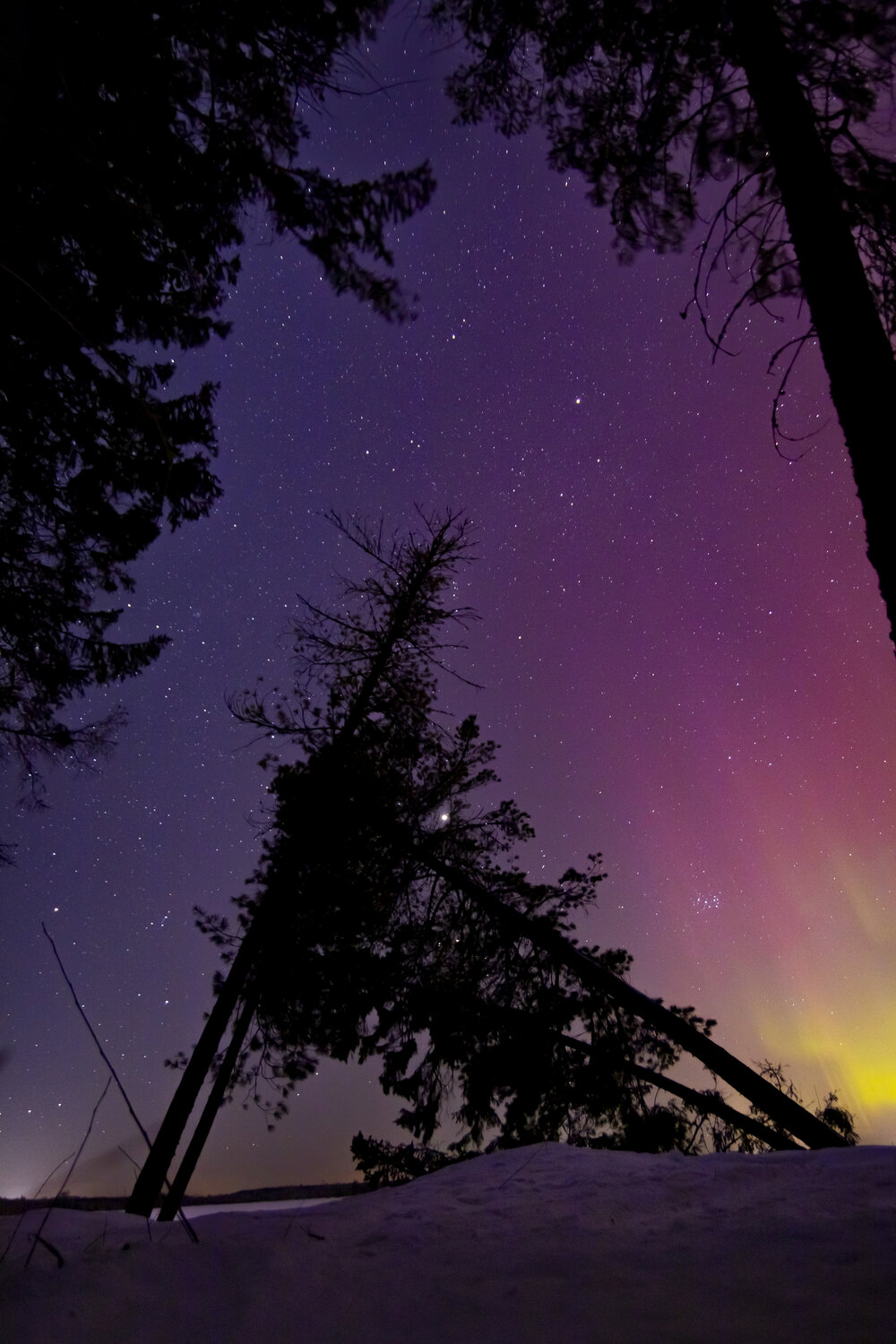 Photo #13351762