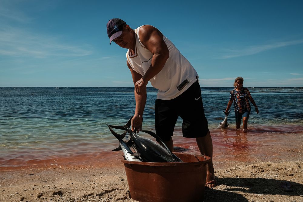 Фотография автора Rowell Timoteo