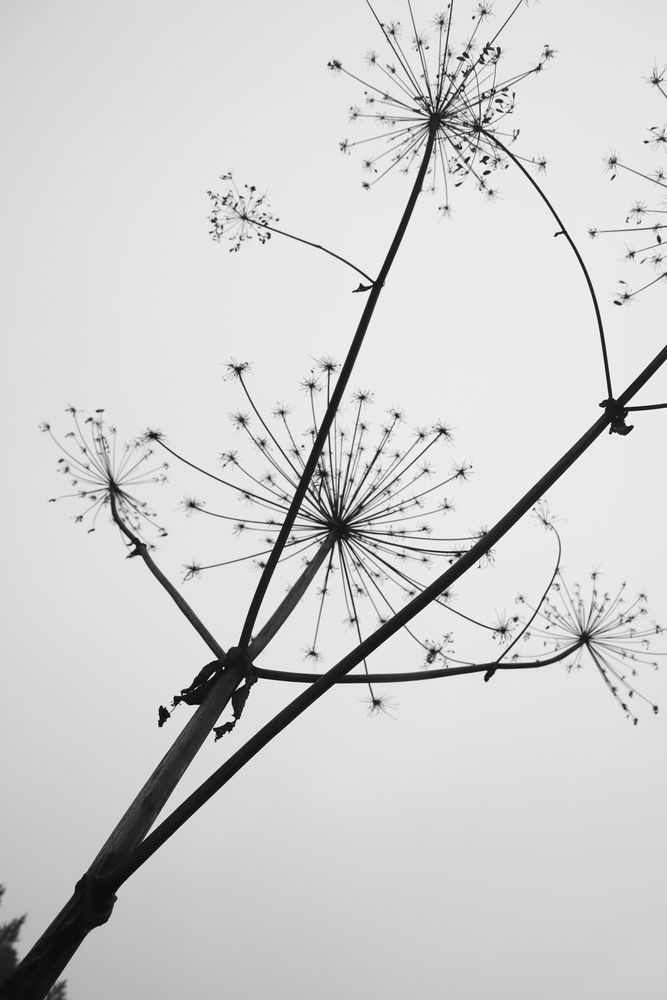 Photograph by Tatiana Shevkun