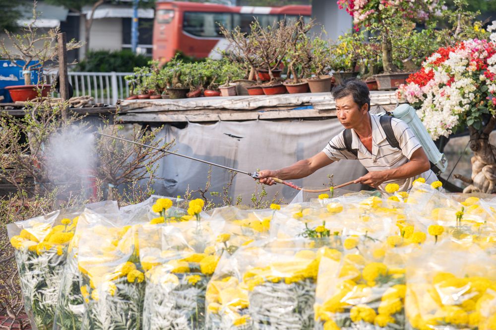 Photograph by Quang Thăng Lê