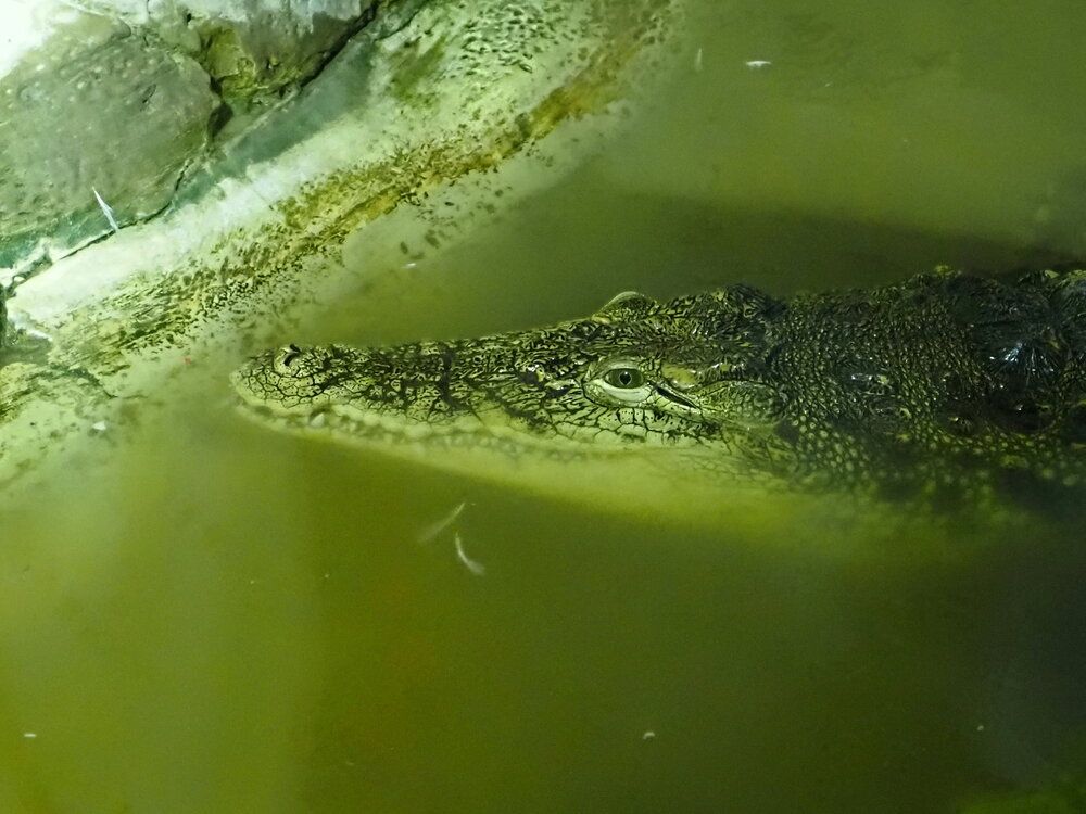 Photograph by Сергей Борисов