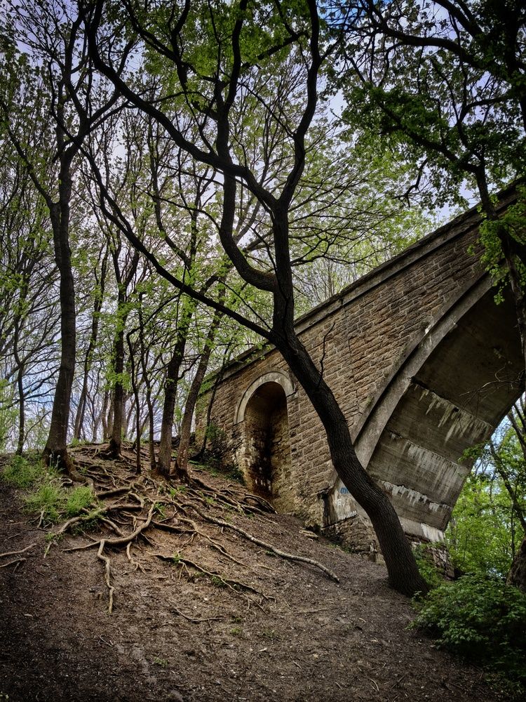 Фотография автора Кривенко Владимир